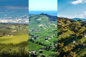 Export, i distretti agroalimentari italiani crescono ancora nel 2024. Ed il vino resta leader