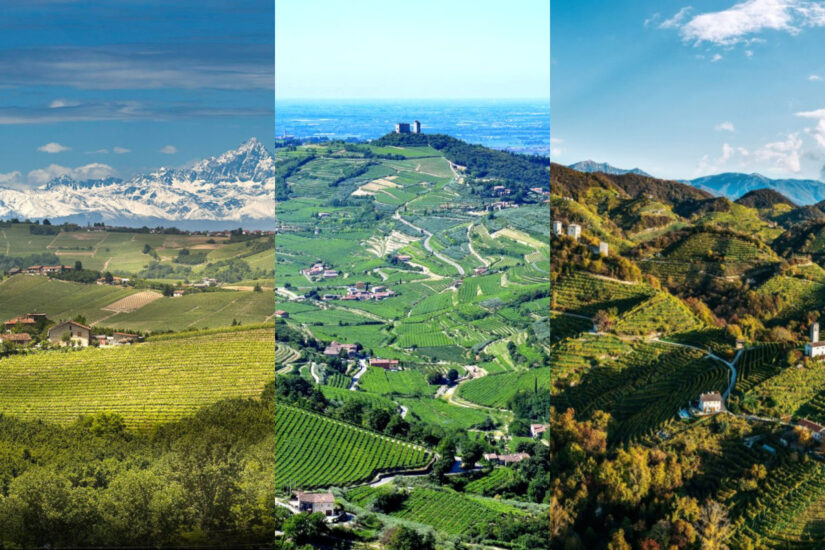 Langhe, Valpolicella e Conegliano-Valdobbiadene, i distretti top del vino
