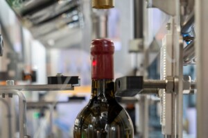 Il comparto macchinari per enologia e beverage vale 5 miliardi, ma il 2024 è previsto in calo