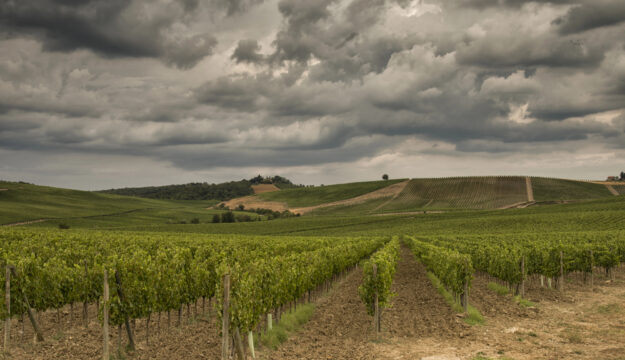 Climate Change, senza interventi, l&rsquo;agroalimentare e il vino potrebbero perdere 12 miliardi l&rsquo;anno