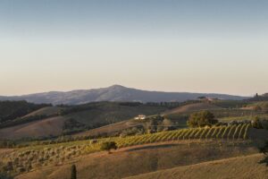 L’Amiata investe su sé stessa: nasce il Distretto Biologico di Montecucco, il decimo della Toscana