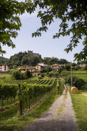 Viaggio in Franciacorta: Paratico (ph: Andrea Federici)
