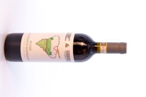 Anita, piccola paziente del Regina Margherita di Torino, firma l’etichetta del Ruchè di Ferraris