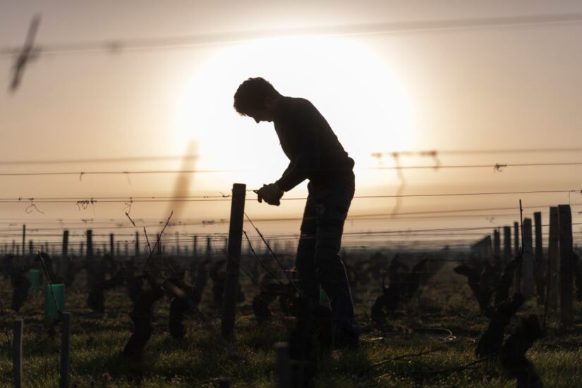 Secondo premio: “Riscaldamento globale” di Michel Joly (Francia)