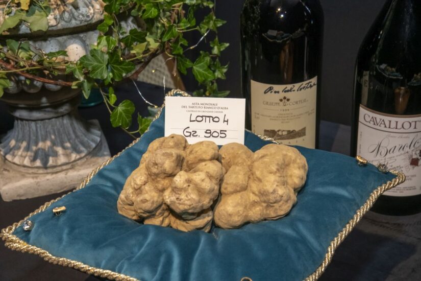 L’“Asta Mondiale del Tartufo Bianco d’Alba” al Castello di Grinzane