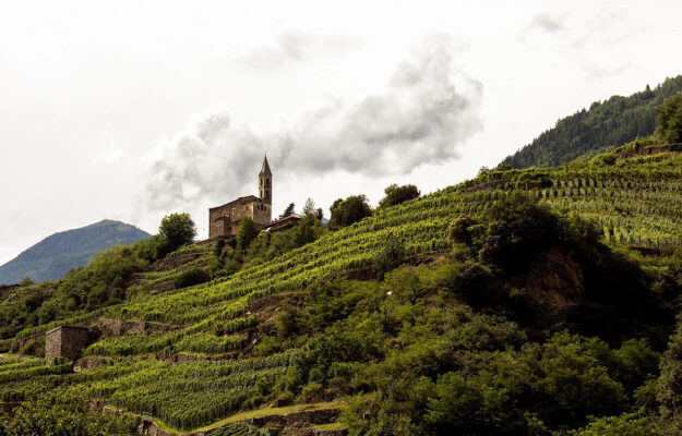 ANDREA GRIGNAFFINI, CRITICA, GUIDE, L'ESPRESSO, LA GUIDA AI 1000 VINI D’ITALIA, LA GUIDA AI 500 RISTORANTI D’ITALIA, LUCA GARDINI, PREMI SPECIALI, Italia