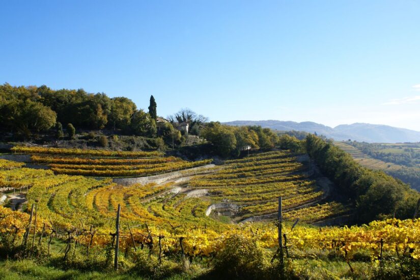 I terrazzamenti vitati della Valpolicella “ricamati” dalle “marogne” (ph: Tedeschi)