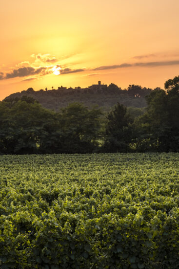 Viaggio in Franciacorta: Passirano al tramonto (ph: Andrea Federici)