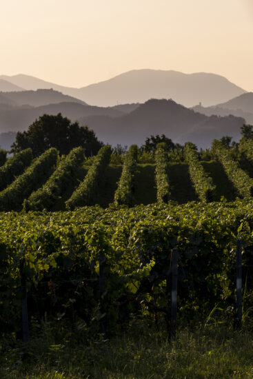 Viaggio in Franciacorta: Passirano (ph: Andrea Federici)