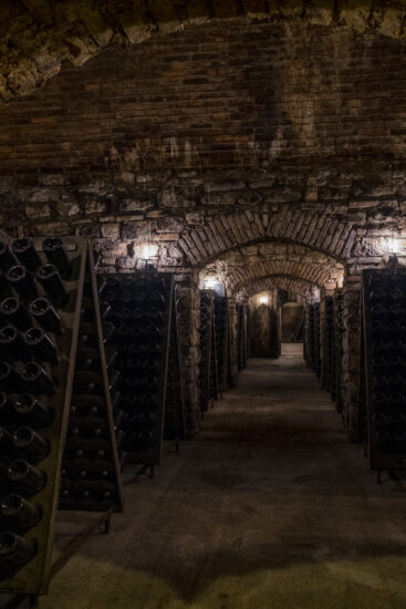 Viaggio in Franciacorta: Corte Franca - Berlucchi (ph: Andrea Federici)