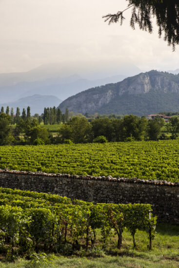 Viaggio in Franciacorta: Corte Franca-Berlucchi (ph: Andrea Federici)