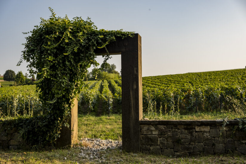 Viaggio in: Franciacorta: Erbusco (ph: Andrea Federici)