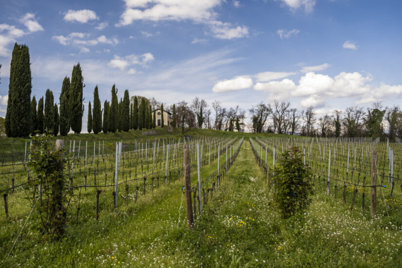 Viaggio in Franciacorta: Monterossa (ph: Andrea Federici)