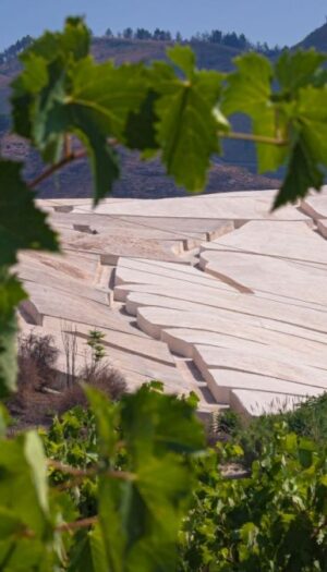 Da una ferita, &ldquo;Portami il futuro&rdquo;: Gibellina prima &ldquo;Capitale Italiana dell&rsquo;Arte Contemporanea&rdquo; 2026