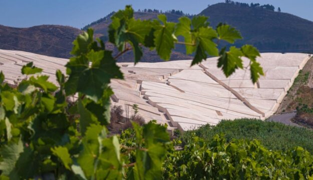 Da una ferita, &ldquo;Portami il futuro&rdquo;: Gibellina prima &ldquo;Capitale Italiana dell&rsquo;Arte Contemporanea&rdquo; 2026