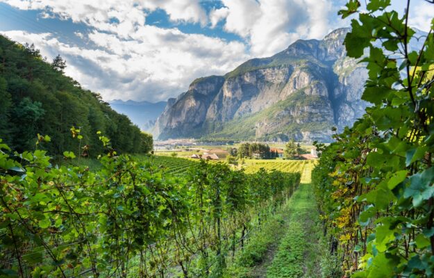 Fine WineTourism Marketplace Italy, RIVA DEL GARDA, Italia