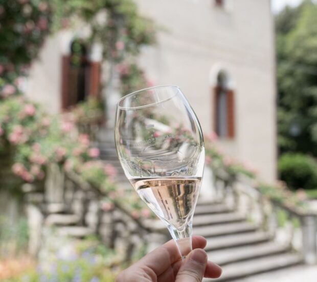 “La Villa, il Vino e Venezia” con Consorzio Vini Venezia nelle Ville Venete (ph: Castello di Roncade)