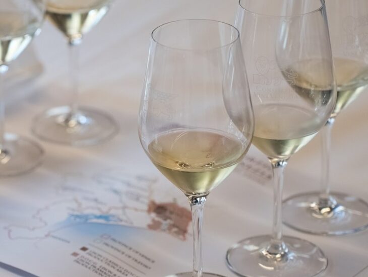 “La Villa, il Vino e Venezia”, un legame raccontato da Consorzio Vini Venezia nelle Ville Venete