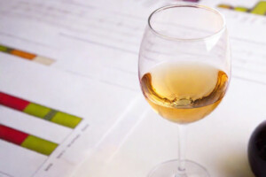 Vino, i bilanci nel 2023 hanno tenuto, ma la redditività soffre e gli indebitamenti aumentano