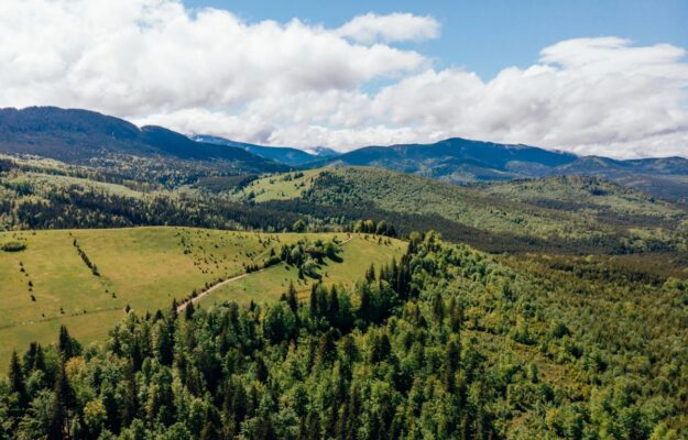 ALBERI, AMBIENTE, BOSCHI, Coldiretti, Confagricoltura, GIORNATA NAZIONALE DEGLI ALBERI, LIGURIA, MANUTENZIONE, SELVICOLTURA, Non Solo Vino