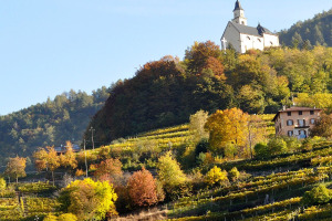I Quaderni di WineNews - Il Trentodoc