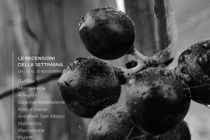 I Vini di WineNews - N. 336