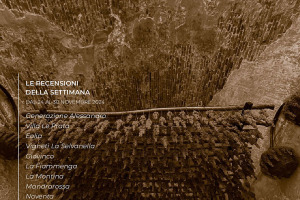 I Vini di WineNews - N. 338