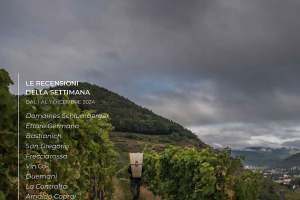 I Vini di WineNews - N. 339