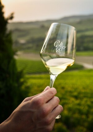 &ldquo;Collio Evolution&rdquo;: il bianco di territorio, primo per reputazione, che tiene nel canale HoReCa