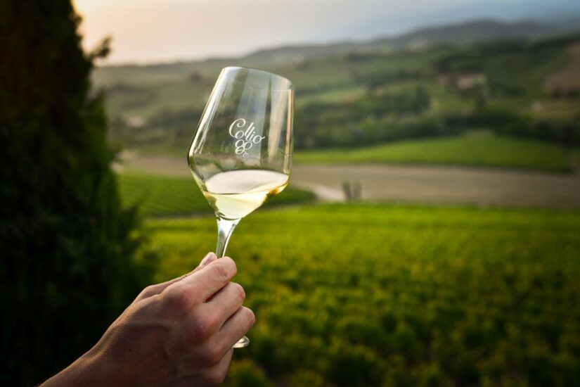 Il Collio, tra i territori del vino più prestigiosi d’Italia