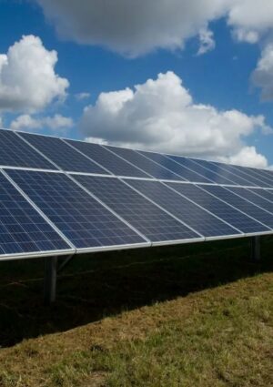 La Corte Costituzionale: legittimo il divieto al fotovoltaico con pannelli a terra in aree agricole