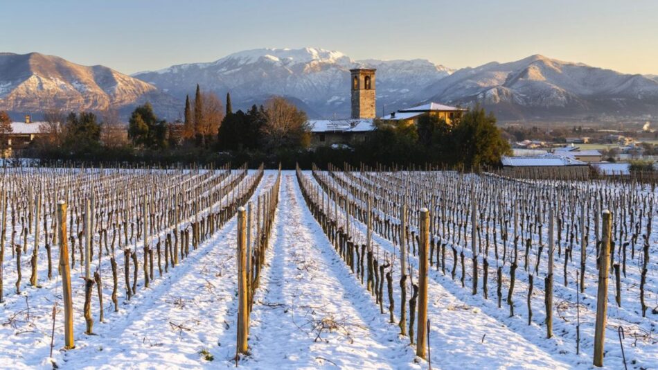 “Capodanno in Franciacorta” le cui cantine sono aperte per brindare al 2025 