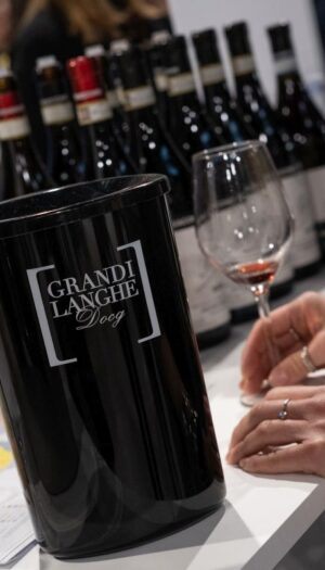 Da &ldquo;Grandi Langhe e il Piemonte del vino&rdquo; a Torino ad &ldquo;Amarone Opera Prima&rdquo; a Verona