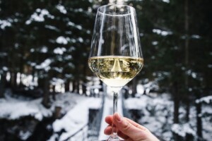 Gruppo Mezzacorona, il fatturato supera 212 milioni, grazie anche al “valore” della sostenibilità