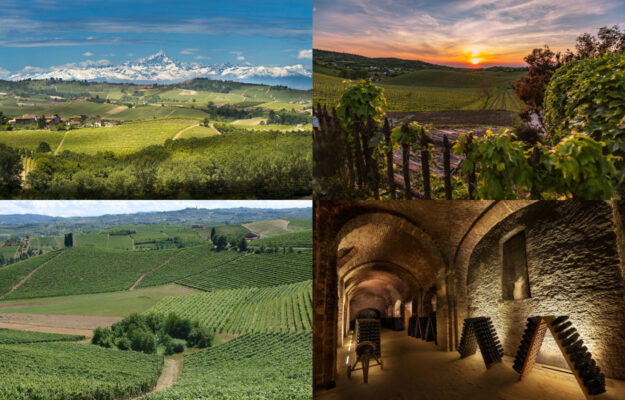 CONSORZIO BAROLO BARBARESCO ALBA LANGHE DOGLIANI, CONSORZIO ROERO, ETTARI VITATI, EXPORT, GRANDI LANGHE, MERCATI, PIEMONTE, PIEMONTE LAND OF WINE, PRODUZIONE, REGIONE PIEMONTE, VENDEMMIA 2024, VIGNAIOLI PIEMONTESI, VINI ROSSI, Italia