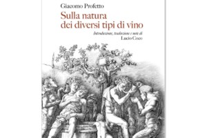 Dalle tonsille alla diuresi, le “qualità curative” del vino per gli archiatri pontifici di un tempo