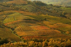 Qualità, valore, trasparenza ed etica di filiera: i valori per il rilancio dell’Oltrepò Pavese