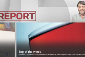 “Report” torna a mettere il vino sotto i suoi riflettori, con il servizio “Top of the wines”