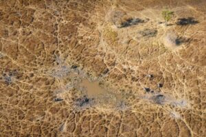 Fao: 1,4 miliardi gli ettari di suolo colpiti dalla salinità. Sicurezza alimentare a rischio