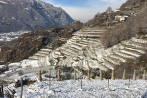 I vigneti “eroici” del Mombarone entrano ufficialmente nel Registro nazionale del paesaggio rurale