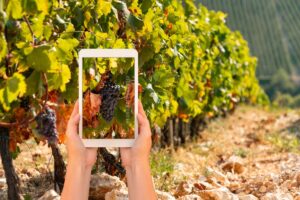 Il futuro del vino è nei cambiamenti. Il messaggio nei 75 anni dell’Accademia della Vite e del Vino