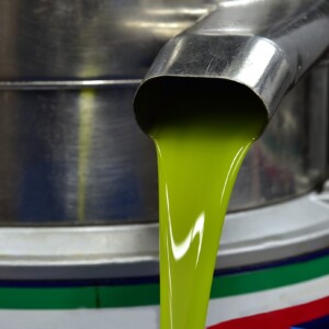Olio d&rsquo;oliva made in Italy, produzione a 300.000 tonnellate nel 2025, +20% sullo scorso anno
