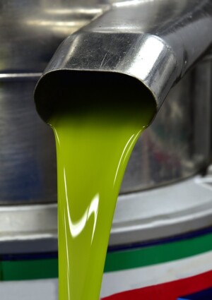 Olio d&rsquo;oliva made in Italy, produzione a 300.000 tonnellate nel 2025, +20% sullo scorso anno