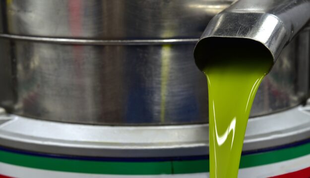 Olio d&rsquo;oliva made in Italy, produzione a 300.000 tonnellate nel 2025, +20% sullo scorso anno