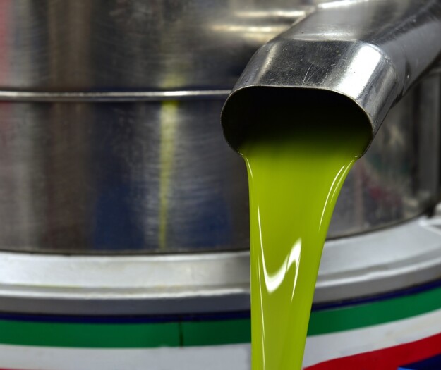 Olio d&rsquo;oliva made in Italy, produzione a 300.000 tonnellate nel 2025, +20% sullo scorso anno