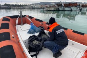 Pesce scaduto e granchi cinesi: la Guardia Costiera sequestra 200 tonnellate di prodotti ittici