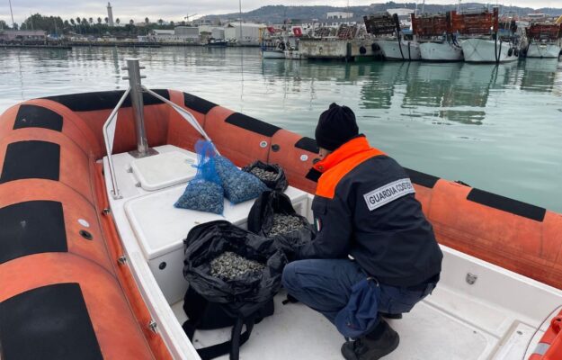 GUARDIA COSTIERA, PESCE, SEQUESTRI, Non Solo Vino