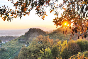 I Quaderni di WineNews - Il Conegliano Valdobbiadene