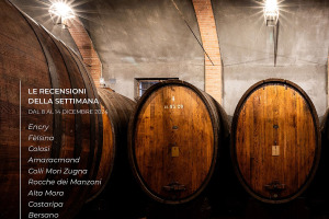 I Vini di WineNews - N. 340