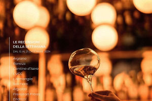 I Vini di WineNews - N. 341